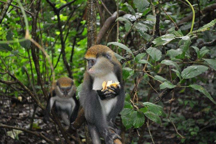 Explore Benin, Togo e Gana – 14 dias