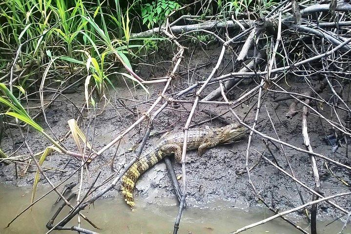 ナイトボートツアーでアマゾン川終日体験
