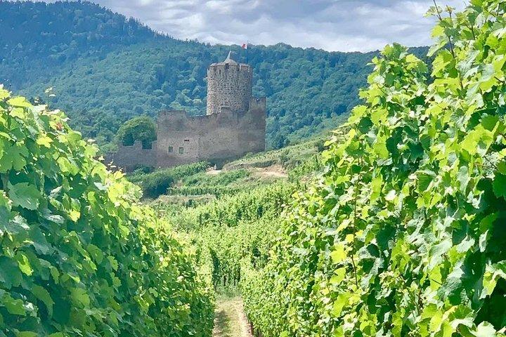 Excursion privée : le meilleur de l'Alsace en une journée !