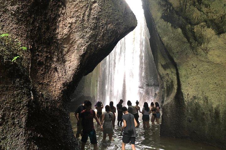 Privat Ubud Tour med dolda vattenfall