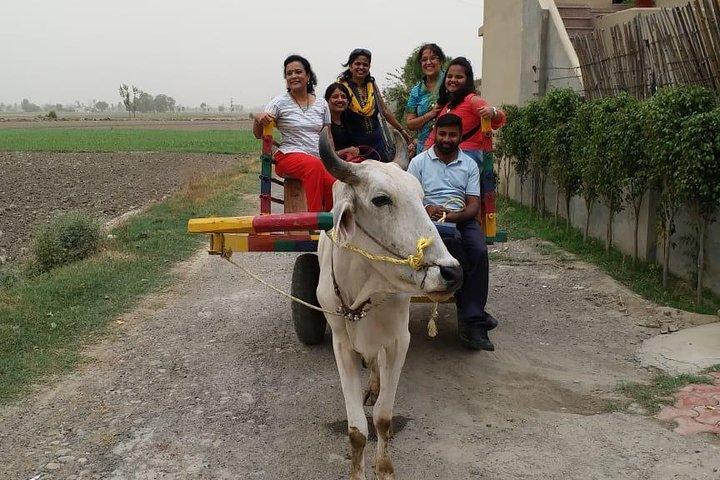 Stedelijke boerderijtrip Amritsar