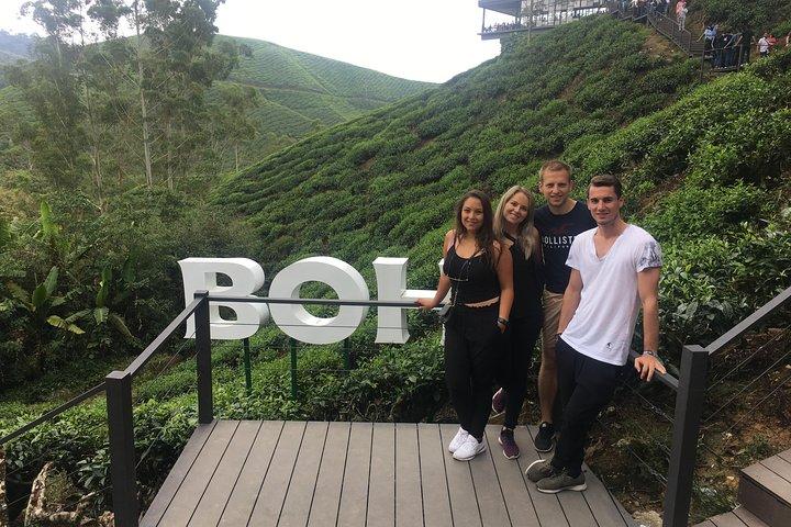 Cameron Highland Beste Tagestour von Ipoh mit Mittagessen (Tagesausflug)