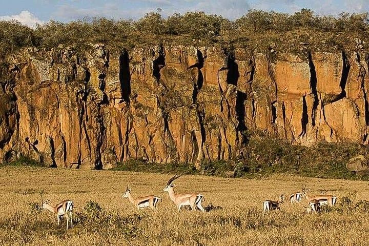 Day trip Hells gate Lake Naivasha best private safari