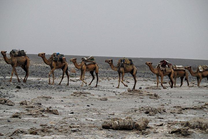 Northern Ethiopia And Danakil