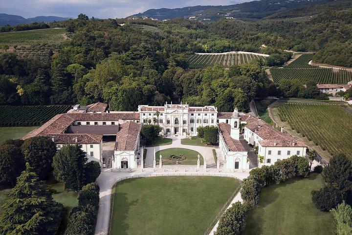 Führung durch das Schloss Amarone und Verkostung in Valpolicella