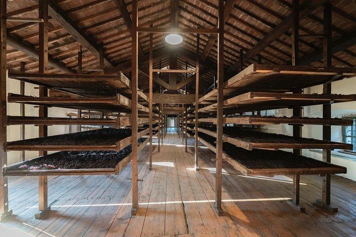 Visite guidée et dégustation du Château Amarone à Valpolicella