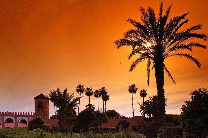 4 timers Marrakech privat turné