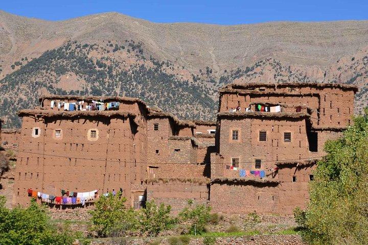 Gita giornaliera privata alle cascate di Ouzoud da Marrakech