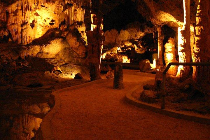 Curaçao Highlights tour : Cavernas de Hato, Flamingos e Beach Time