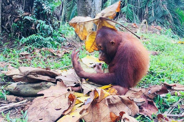 Tagestour zum Kulturerbe von Kuala Lumpur