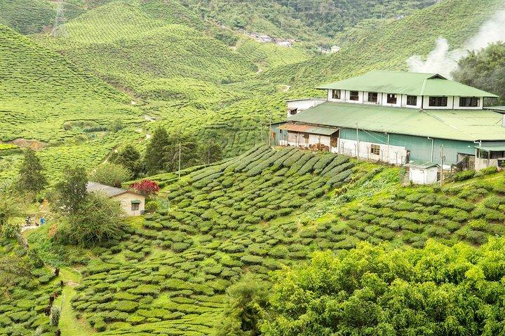 Excursão de 4 dias ao melhor de Kerala com barco particular, turismo e carro