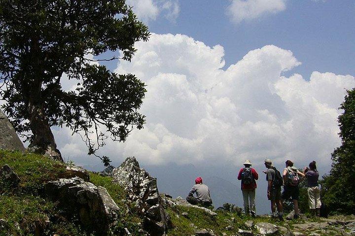 Kuari Pass Trek - 8 jours
