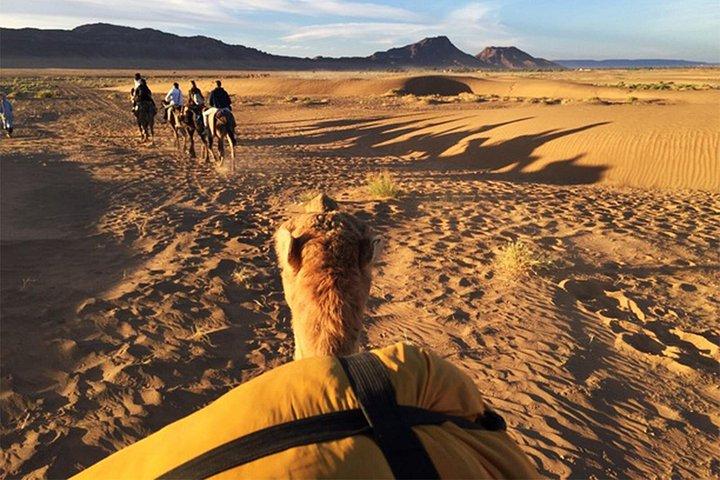 4-Day Guided Desert Tour from Marrakech