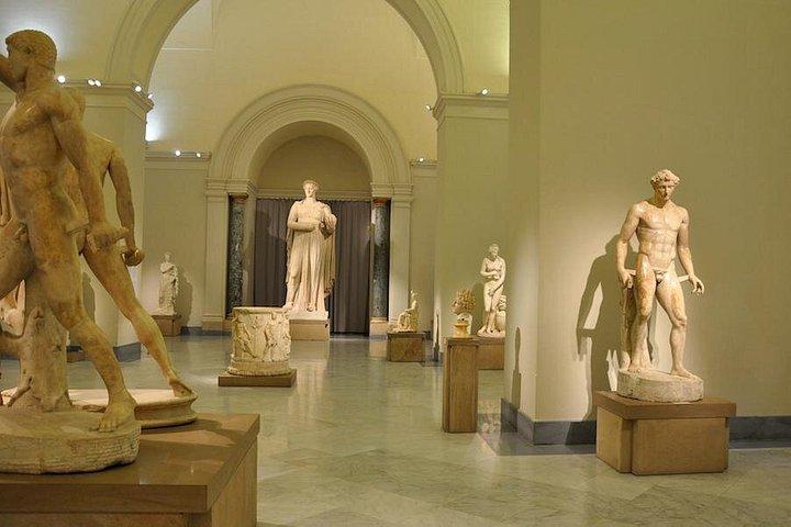 スキップ・ザ・ライン:ナポリ国立考古学博物館入場券