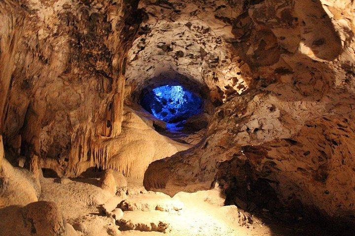 Curazao Destacados tour : Cuevas de Hato, Flamingos & Beach Time
