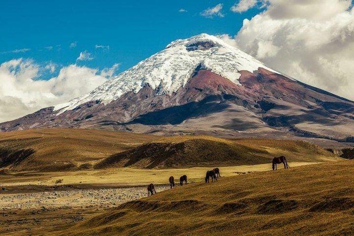 Cotopaxi y Quilotoa ¡1 día de aventura!