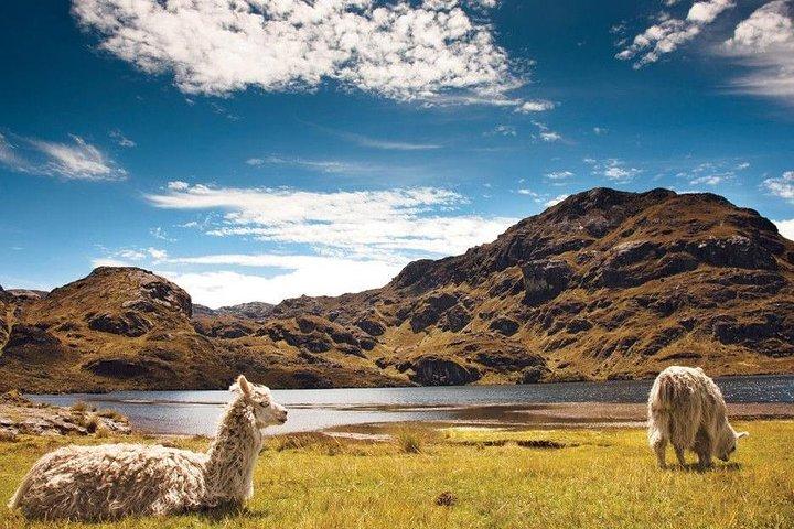 Cotopaxi & Quilotoa 1 dag äventyr!