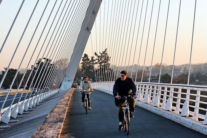 Excursão turística em bicicleta Kehl por Estrasburgo