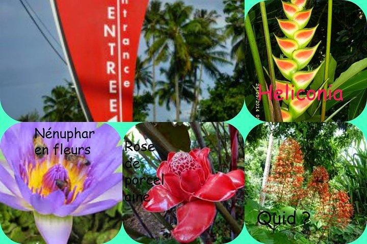 Private Island Tour ( 5 HOURS)