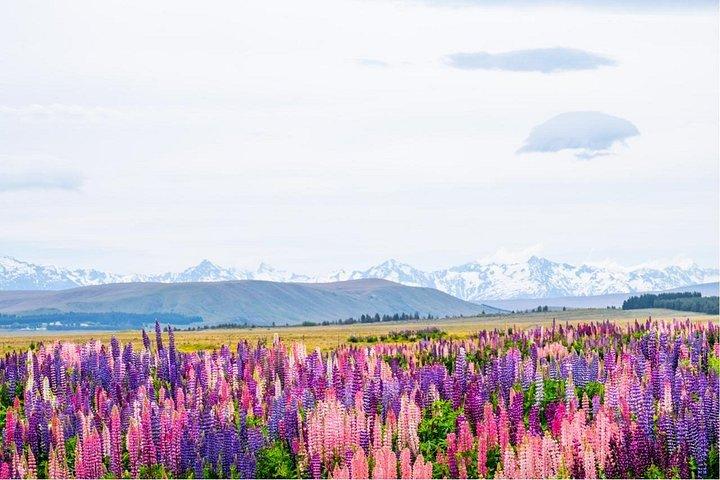 Tour di un giorno a Mount Cook da Queenstown