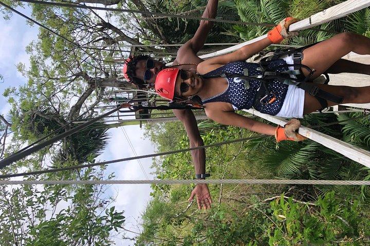 PRIVATE Zipline & Baboon Sanctuary Erfahrung