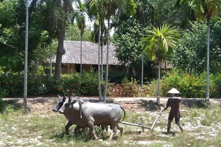 ホイアンまたはダナン市から私のLAI MASSACREを訪問するプライベートデイトリップ