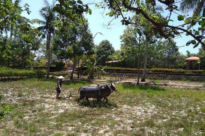 ホイアンまたはダナン市から私のLAI MASSACREを訪問するプライベートデイトリップ