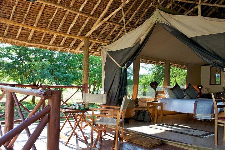 3 dagar Nairobi, Tsavo West, Amboseli Safari