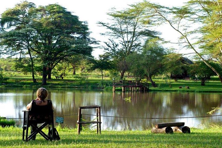 3 dagar Nairobi, Tsavo West, Amboseli Safari