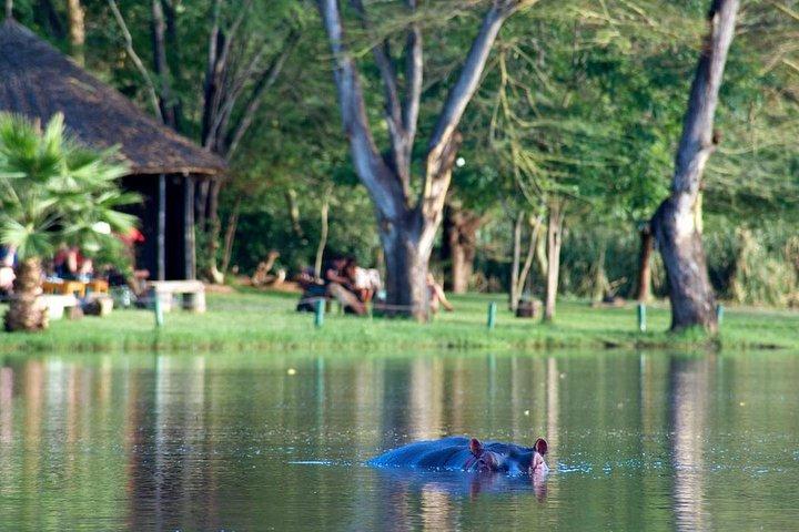 3 dagar Nairobi, Tsavo West, Amboseli Safari