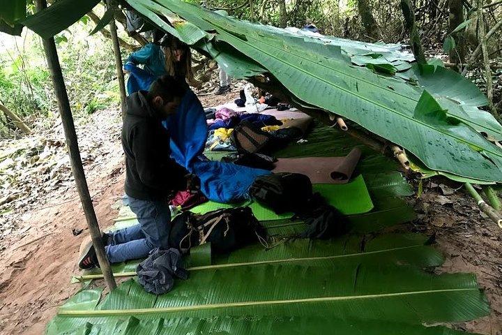 La elección del mejor excursionista: 5 días de caminata por el bosque con alojamiento en familia y camping