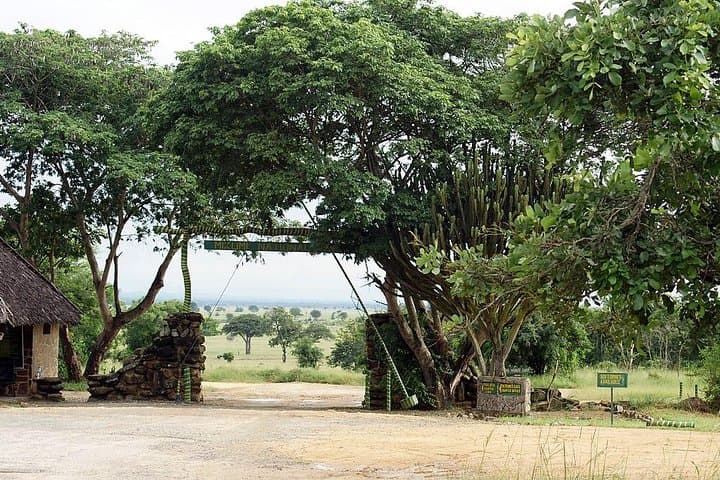 4 Days Mikumi & Udzungwa National Parks Safari