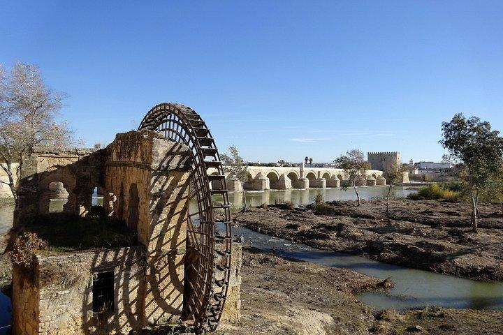 セビリア発、モスクと大聖堂を巡るコルドバ市内ツアー