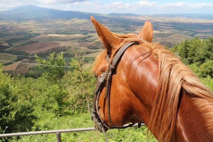 Tuscany Horse Riding & Wine Tasting Private Tour from Rome