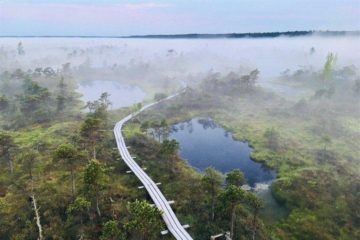 Kjemeri Bog Boardwalk, Østersøen & Jūrmala Dagstur fra Riga