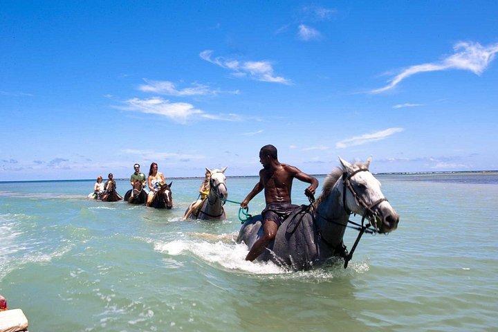 4つの川の急速な冒険の1つで乗馬をカスタマイズ