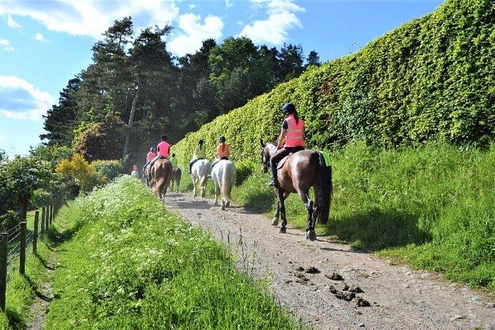 4つの川の急速な冒険の1つで乗馬をカスタマイズ
