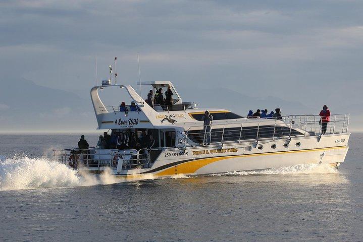 Victoria Marine Wildlife Tour