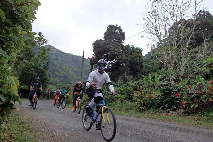 Blue Mountain Bicycle Tour from Kingston