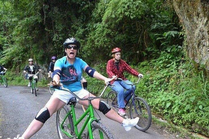 Blue Mountain Bicycle Tour from Kingston