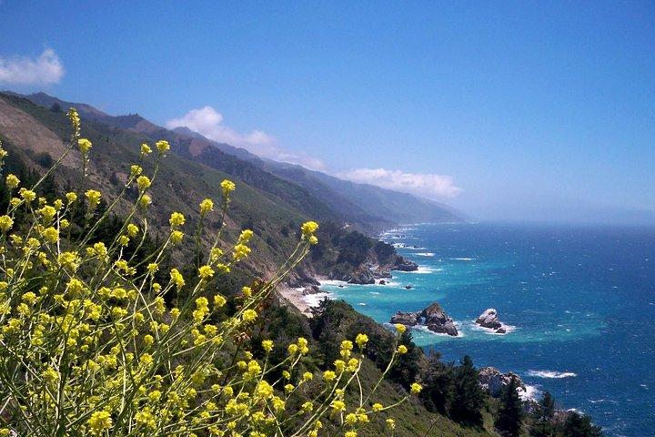 Big Sur Monterey California Coast van San Jose 1 - 12 personen