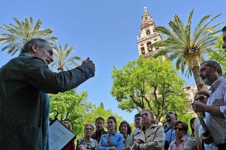 Cordova con tour privato della moschea-cattedrale da Granada