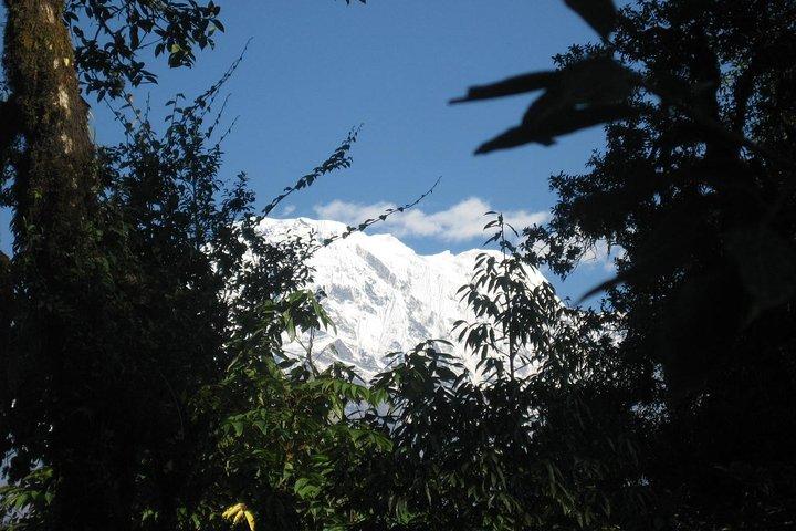 2 dias Panchase Hill Trekking