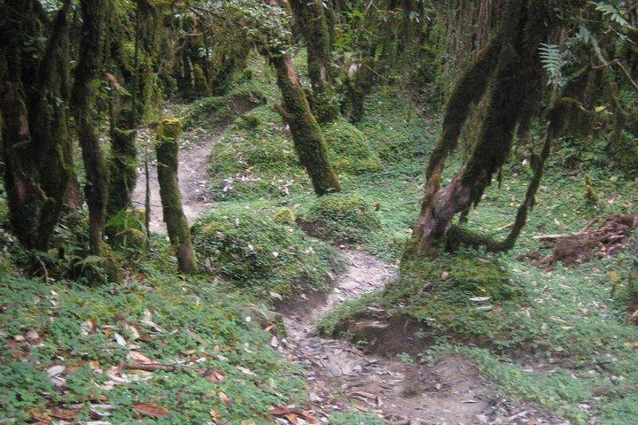 2 dias Panchase Hill Trekking