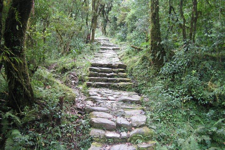 2 dias Panchase Hill Trekking