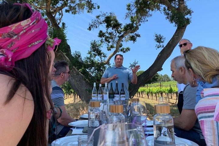 Visite de dégustation de vins en petit groupe de la région viticole de Santa Barbara