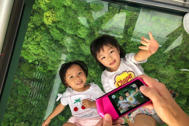 Ngong Ping 360 Skip-the-Line Private Crystal Cabin Ticket