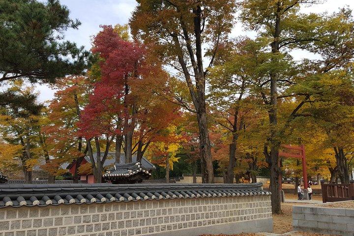 (Private tour) Jeonju City Tour med KTX bullet Tog fra Seoul