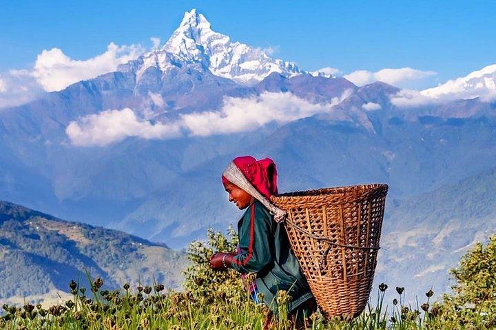 Private Ganztagestour in den Annapurna Foothills in Pokhara