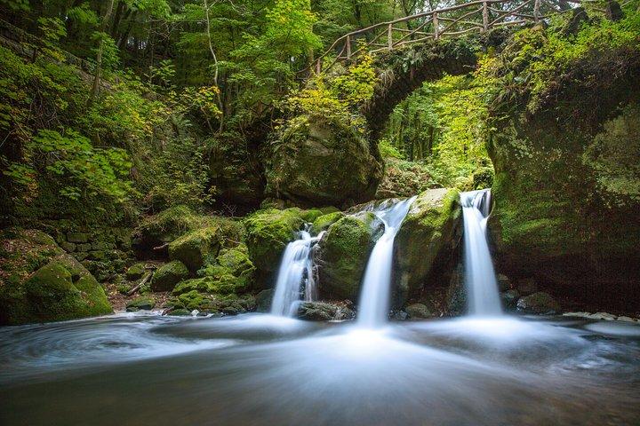 Luxemburg: natuur- en kasteeldagtrip